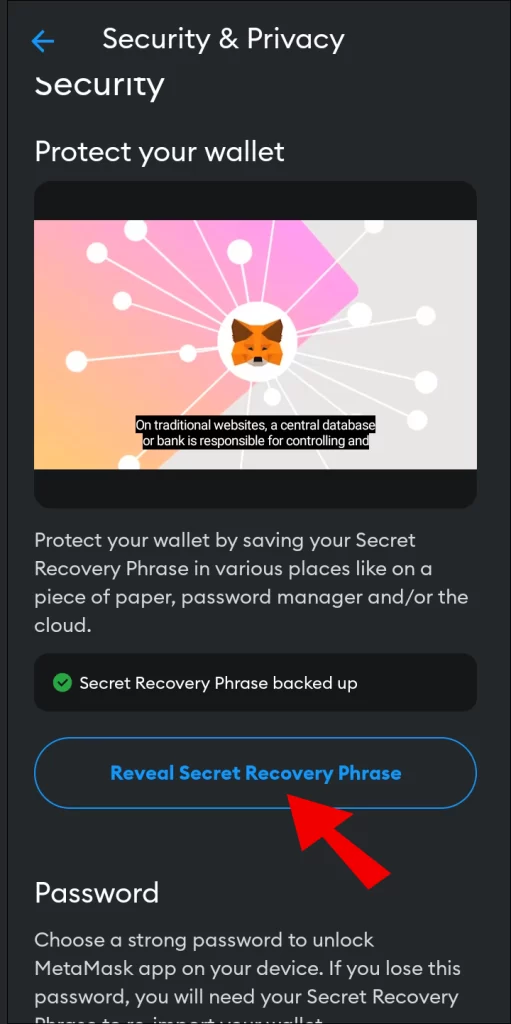 Select “Reveal Secret Recovery Phrase”